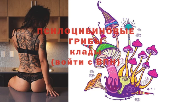 MDMA Premium VHQ Аркадак