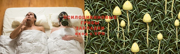 соль курить ск Арсеньев