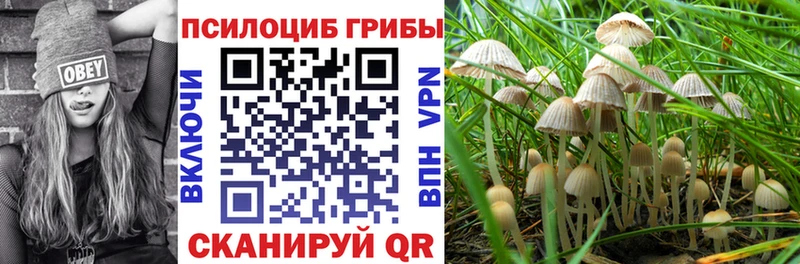 Галлюциногенные грибы MAGIC MUSHROOMS  наркошоп  Собинка 